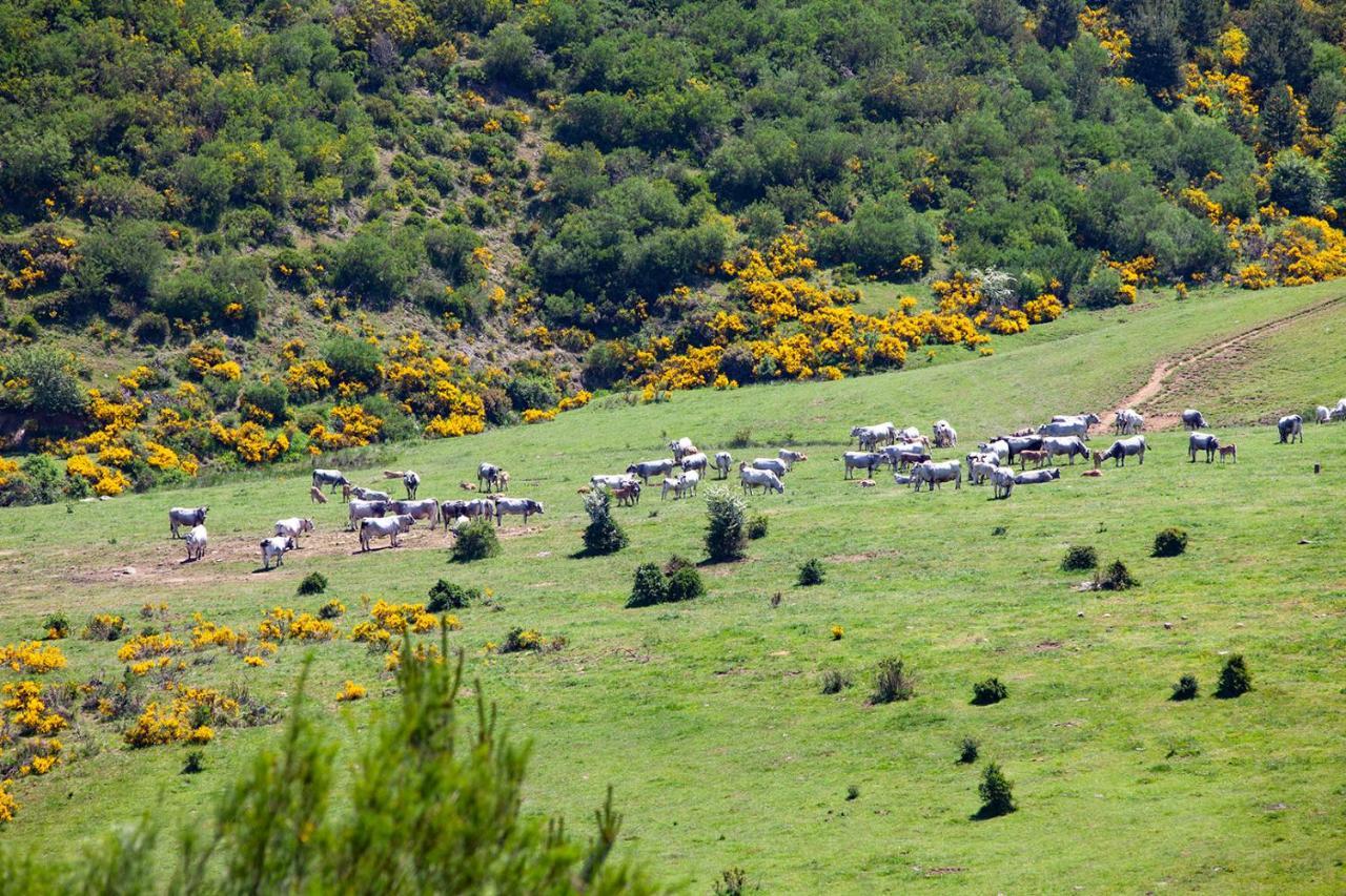 Casa Rural La Majada De Penacorada Pensionat Fuentes de Peñacorada Eksteriør billede