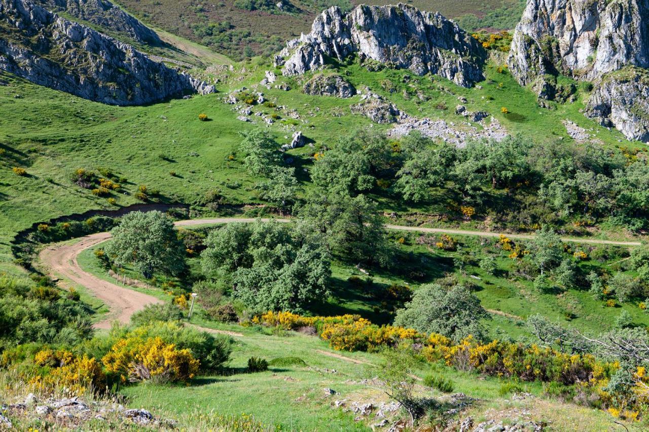 Casa Rural La Majada De Penacorada Pensionat Fuentes de Peñacorada Eksteriør billede